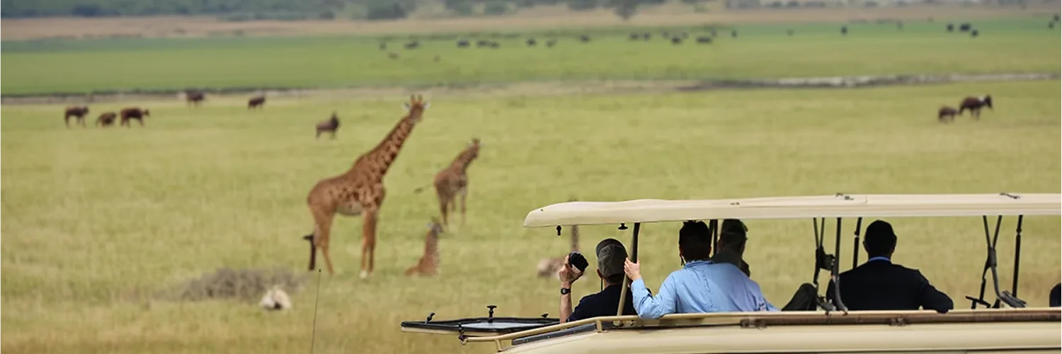 package hotel listing